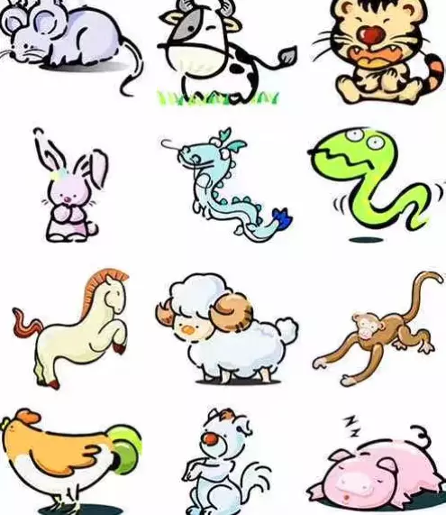屬相虎名字叫龍怎麼更名：叨教屬虎的男孩可不能以叫龍？