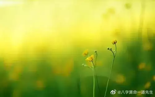 1、婚姻晚是命不好嗎:八字說婚姻不好如何破？是否晚婚好？