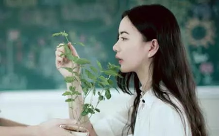 屬虎女容易出軌找的屬相都哪個：屬虎的女孩找什麼屬相的好？