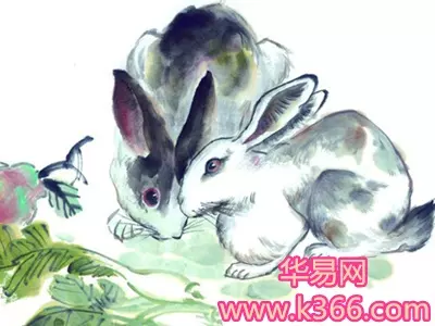 1、屬兔女生於卯時和屬雞男能婚配嗎:屬兔女和屬雞男他們結婚在一起會怎麼樣?