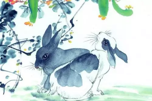 年屬兔的人的運勢及佩帶的吉祥物等等是什麼？謝謝~~