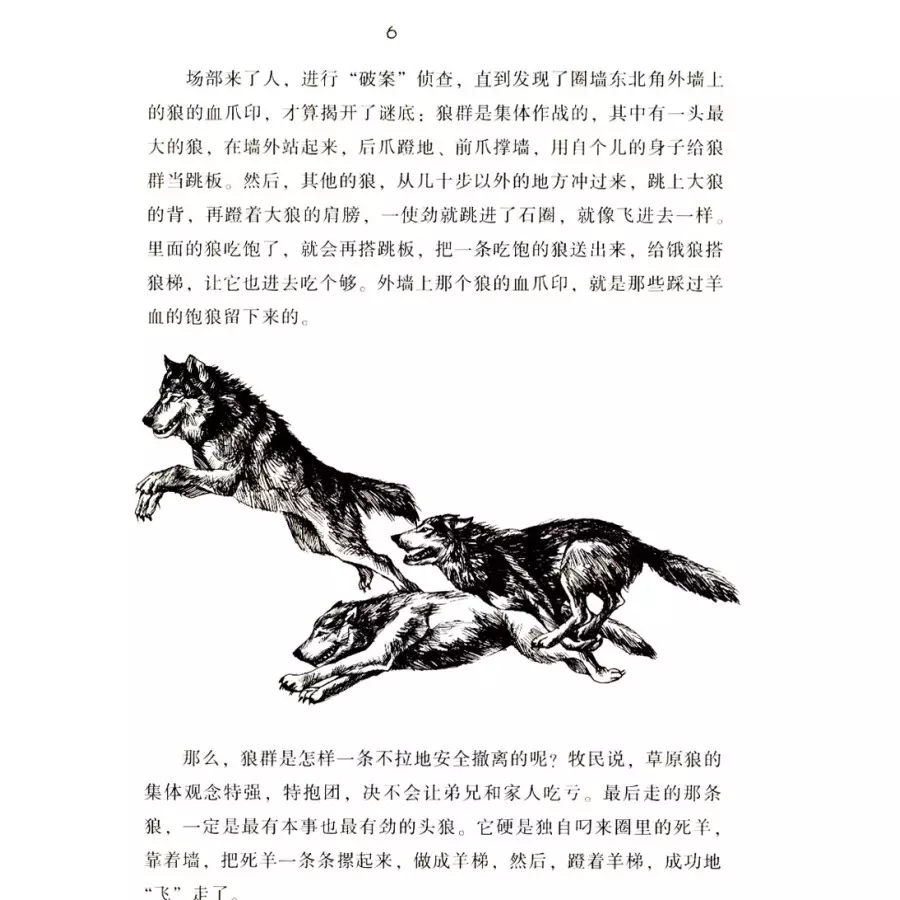 3、79年屬羊的男和78年屬馬的女娶親，生肖屬相合適嗎？為什麼？