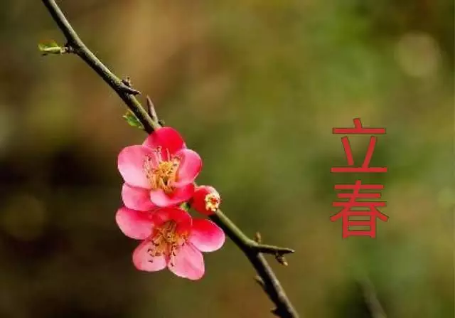 屬馬的躲春是什麼屬相：屬雞男的和什麼屬相最配、相剋
