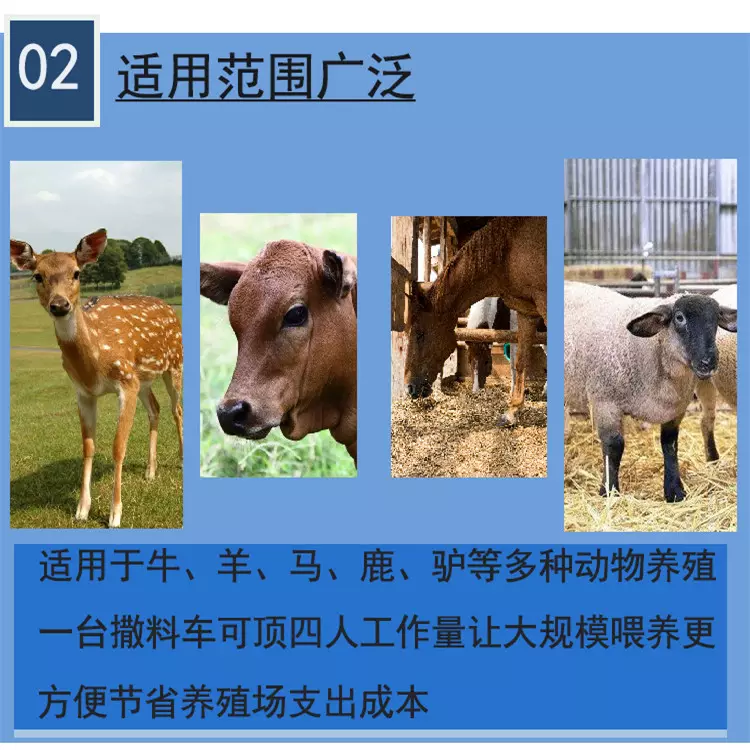 2、男馬與女羊相差13歲婚配好嗎:屬馬的和屬羊的配嗎？女屬馬和男屬羊配嗎？