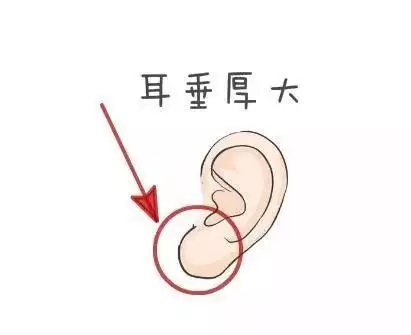 2、算命子女緣免費:算命一生有幾個孩子