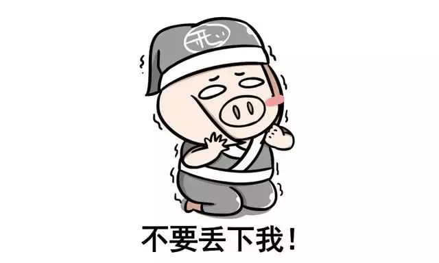 1、豬八戒芳齡幾何是否婚配:猜謎語豬八戒娶親才一動物