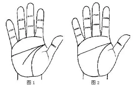 1、男人手相圖解大全:男人右手斷掌手相圖解