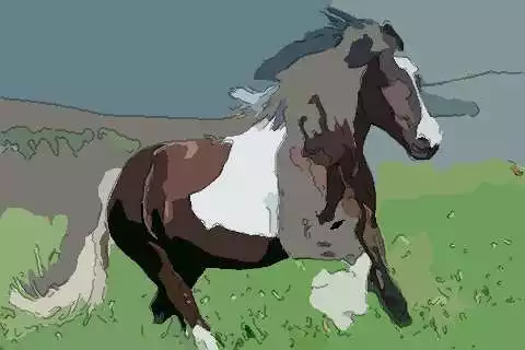 1、屬馬人年十月運勢:年屬馬的運勢和財運