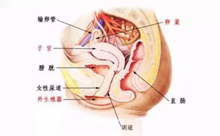 懷孕12周可以做無痛人流嗎：做過葯流的姐姐們進 一定要有親身經歷的