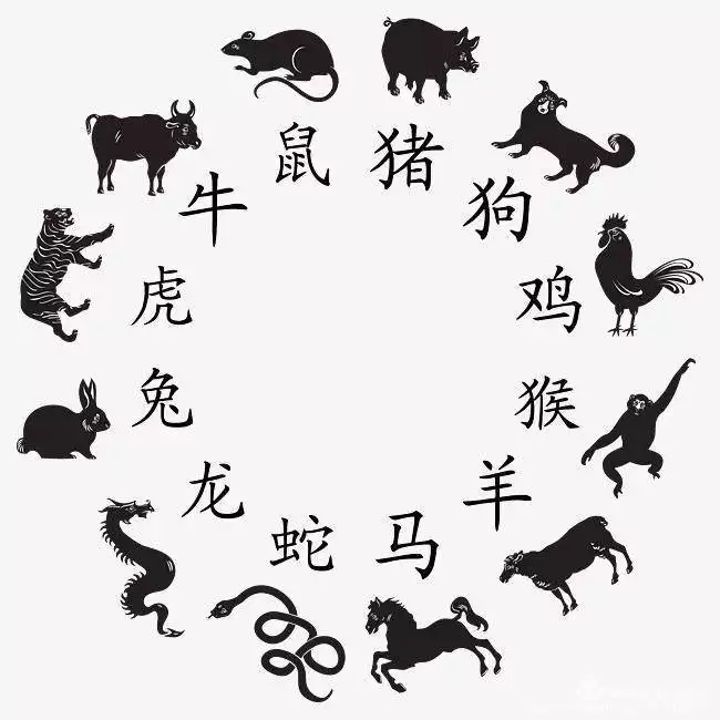 3、海中金鼠和路旁土羊婚配:羊和鼠相配婚姻若何