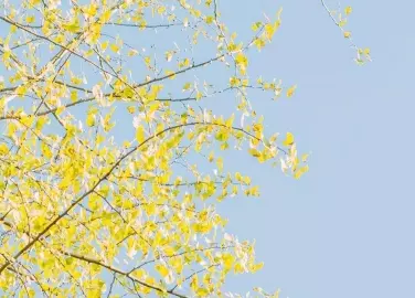 好一點的微信昵稱兩個字：微信名字 昵稱 好聽簡單 兩個字