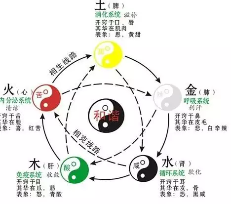 2、一分鐘算出自己的五行:怎樣算出自己的五行