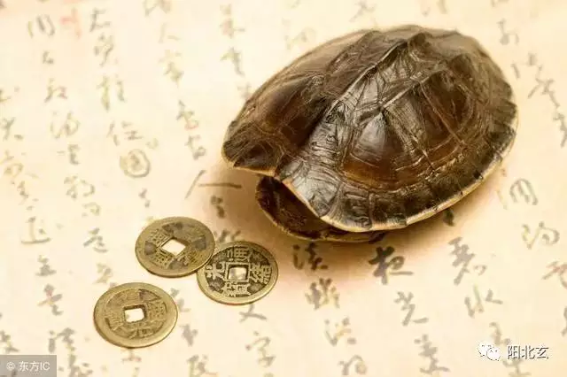 4、測一下自己的命運免費:免費算一下自己的命運