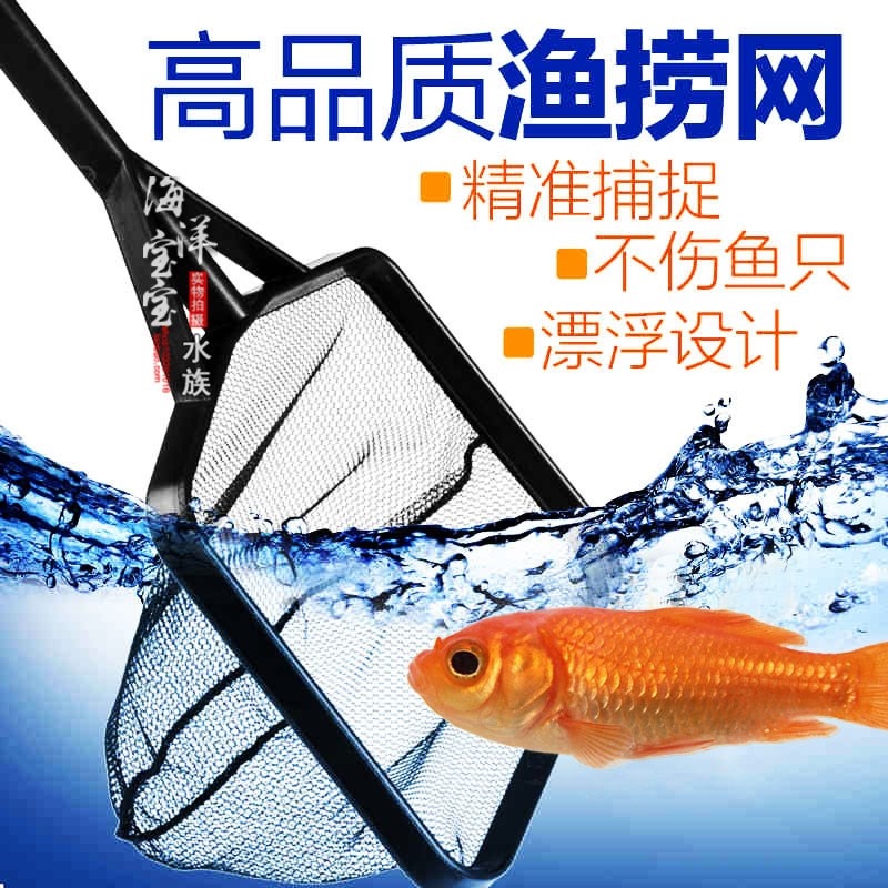 已婚女人夢見用網兜撈好多魚：夢見兩人用網兜撈了四五條魚