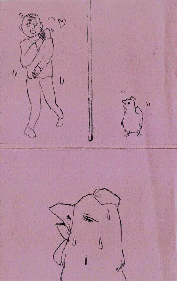 一言不發去偷雞的屬相：一言不發去偷雞，是什麼動物？