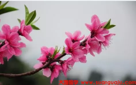 算命說我時辰不好，25-30那幾年會有一年很倒霉，倒霉透了，怎麼辦？現在我每天提心吊膽，煩