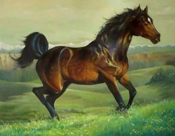 2、年屬馬什麼時辰出生好:年出生的屬馬人生時辰是酉時在鼠年的命運如何？