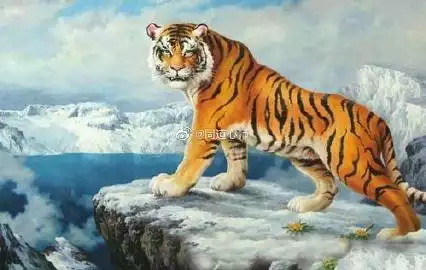 生肖虎的哪個屬相最好：屬虎和哪個屬相最合適