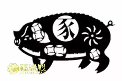 3、年豬和86年虎婚配:男屬豬和女屬虎相配嗎？