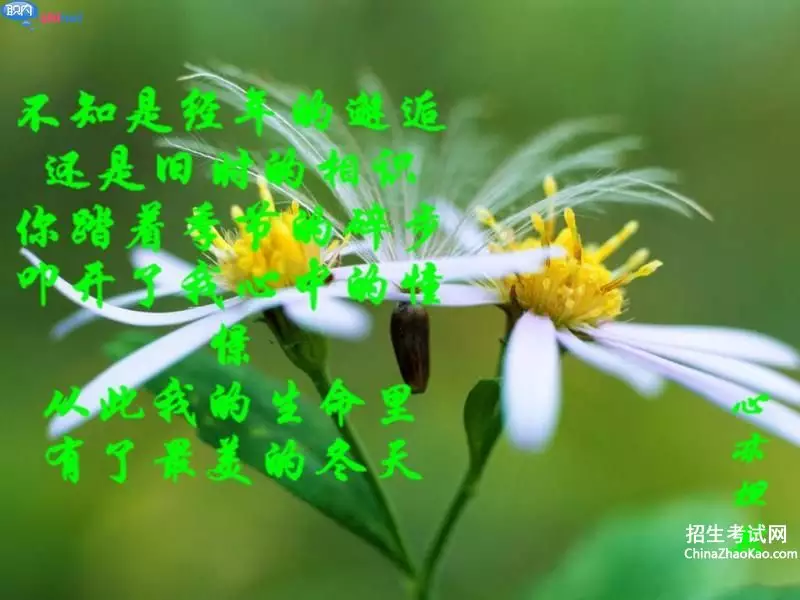 3、緣分的簽名:關於緣份,天意、命運、的qq個性簽名
