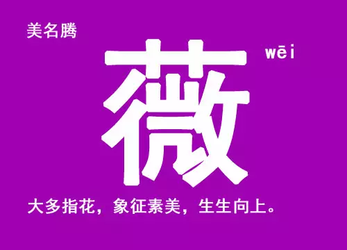 牛年雙胞胎女孩取名字大全：牛年女孩名字大全