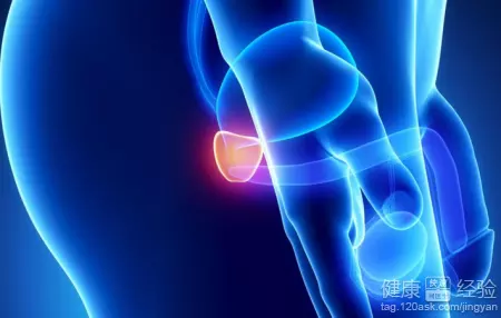 8、五十歲了天天早上晨勃正常嗎:每天早上都會晨勃，這正常嗎