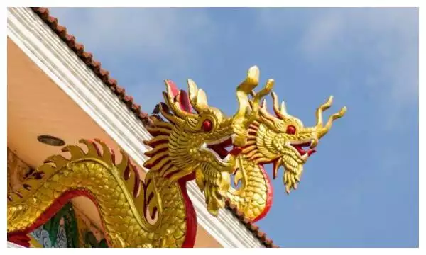 5、76年龍和88年龍婚配:年的龍和年的龍屬相合適嗎