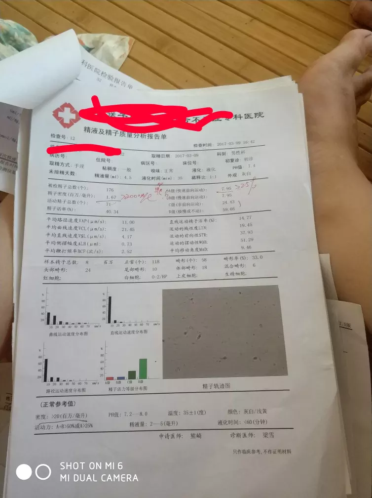 連續三天高嗎：多久更新一次？