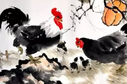 年出生的人屬什麼：年屬什麼生肖年出生的人年運程