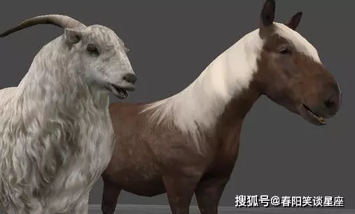 4、屬馬男生和屬羊女婚配好欠好:屬馬男跟屬羊女怎麼樣？