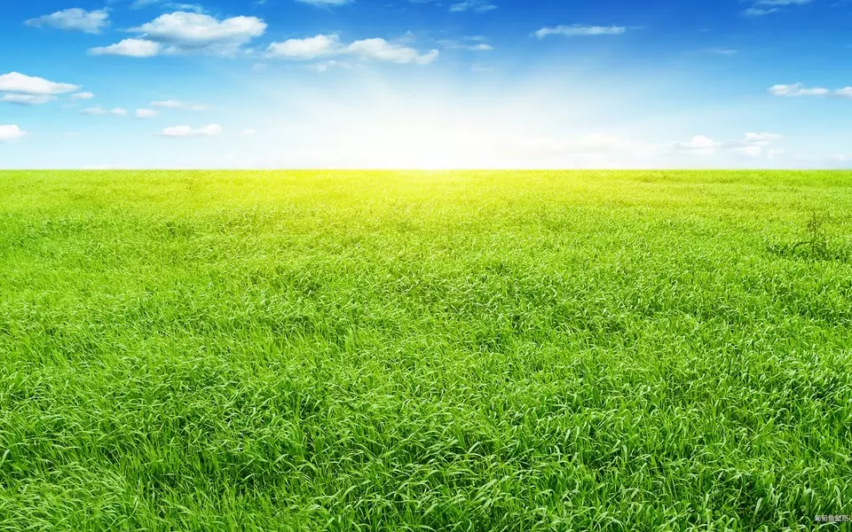 3、最準的算命軟件:‏算命的軟件哪個‏最准？