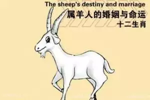4、請問年屬羊女人陰曆6月11日，中午12點過的，什麼時候有正緣，好絕望失望現在，