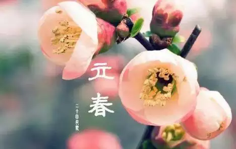 過立春生的孩子屬相是哪一年：年正月初四生的孩子屬相是什麼