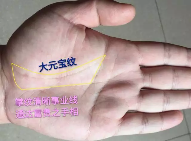 1、手相怎麼看自己的事業運:從手相看你的事業財運