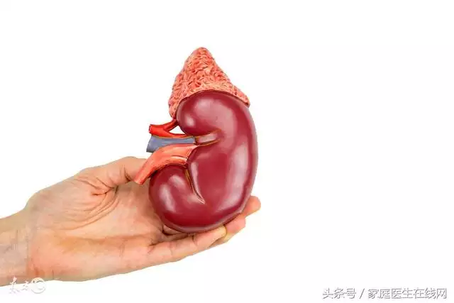 7、男人五十后不行怎麼辦:男人五十歲以後性功能就不行了：該如何治癒？
