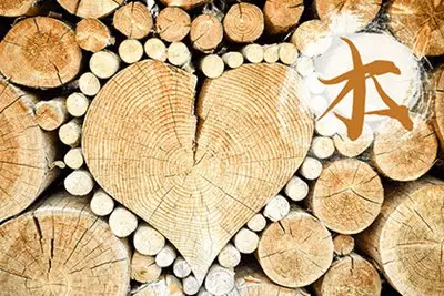 2、龍年出生婚配:年屬龍的運勢婚姻如何？