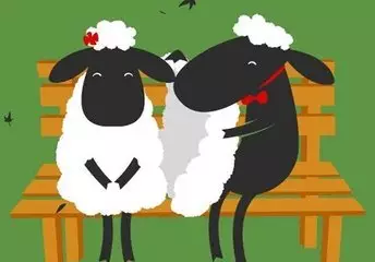 6、屬羊的今年的婚姻如何:屬羊的今年的婚姻如何