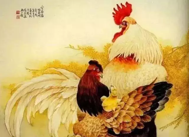 4、屬雞和屬雞的婚配情形:屬雞的和什麼屬相最配