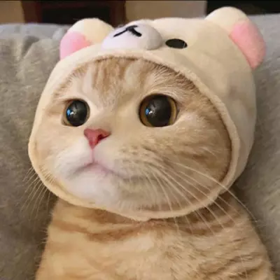 最火背景圖片：求一些適合做背景的圖片~