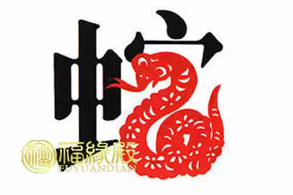 屬虎和屬蛇的婚姻相配嗎：蛇虎屬相合嗎