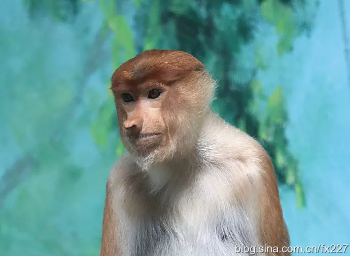 2、78年的男馬和80年的女猴婚配:78年屬馬男和80年屬猴女婚姻會幸福嗎？