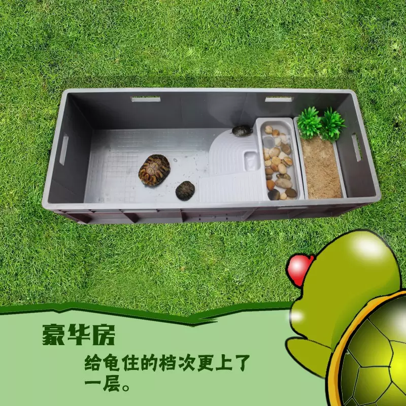 烏龜缸可以放在窗台上養嗎：烏龜能放在陽台上養嗎