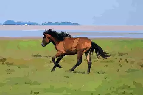 1、80年男猴90年屬馬的婚配:屬猴和年屬馬合嗎?