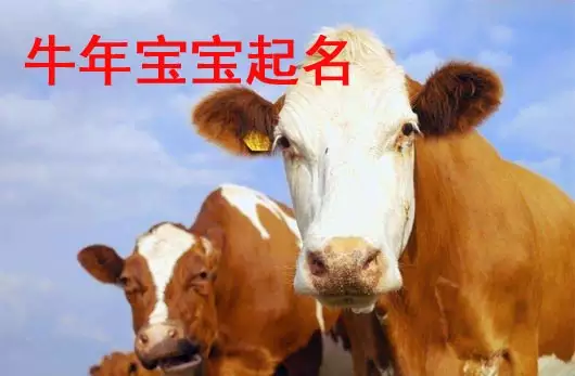 1、牛寶寶取名大全款:年牛寶寶取什麼名字好