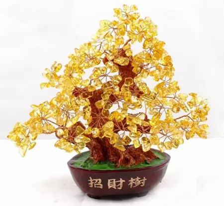 3、年屬鼠人的壽終:年屬鼠人壽命