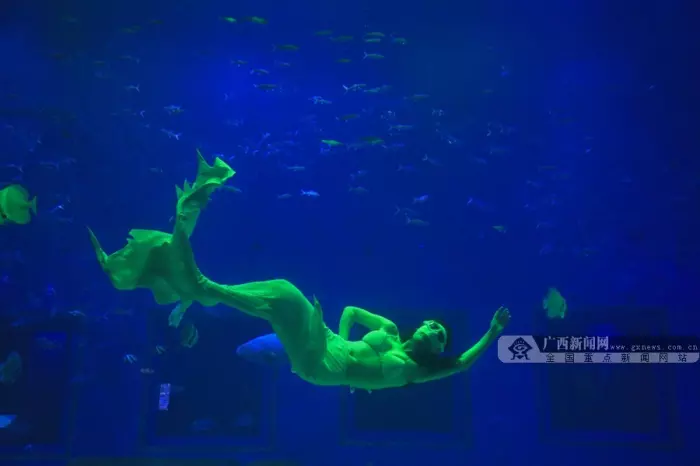 1、大海水男豬和大海水女豬能婚配嗎:大海水男狗和大海水女豬配嗎