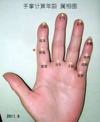 手掌上快速算出一個人的屬相：如何通過生辰八字推算一個人的五行屬相？