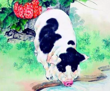 屬豬的怙恃生什麼屬相的寶寶最好：男女都屬豬生什麼屬相孩子好