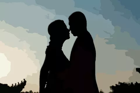 2、雞男豬女婚配妃何好嗎:叨教男屬屬豬婚配好嗎！