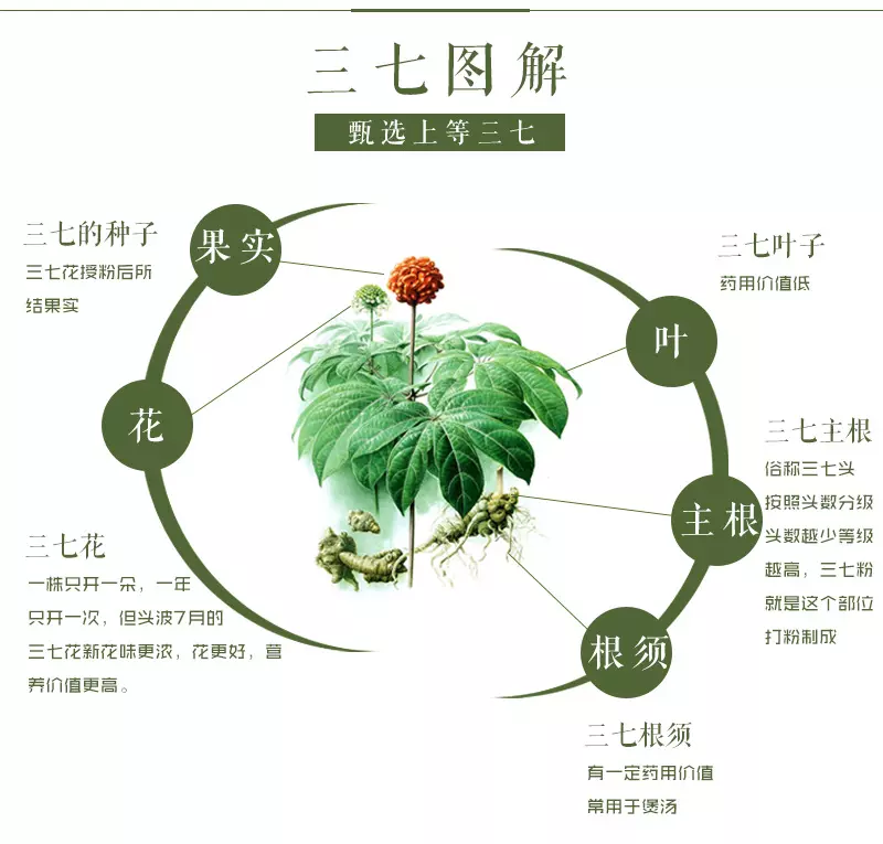 二十將出伴三七打一屬相：三九伴五喜又開，二十將出伴三七.打一生肖